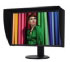 Nec SpectraView 3090 (60002659)