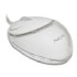 Ngs Vip Mouse (VIPMOUSE) Ngs Vip Mouse (VIPMOUSE)