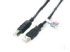 Startech.com 6 ft High Speed Certified USB 2.0 Cable (USB2HAB6)