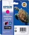 Epson T1573 (C13T15734010)