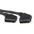 Intronics Scart cable Scart - Scart 1.5m (AK1902)