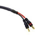 Cablestogo 5m Velocity Speaker Cable 12AWG (80351)