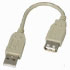Startech.com Cable de Extensin Adaptador USB 2.0 A a A M/H de 6 pulgadas (USBEXTAA6IN)