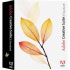 Adobe Creative Suite 2 Standard, EN CD Mac (18030211)
