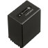 Sony NP-FV100