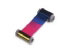 Zebra True Colours i Series YMCKK ribbon (800012-480)